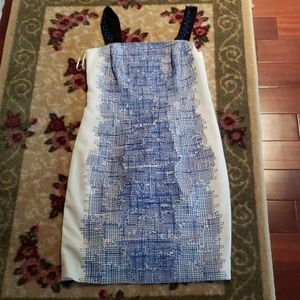 Sachin & Babi Embordoried Dresses